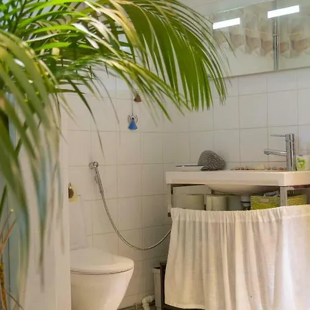Wehost Pohjoiskaari 2a4